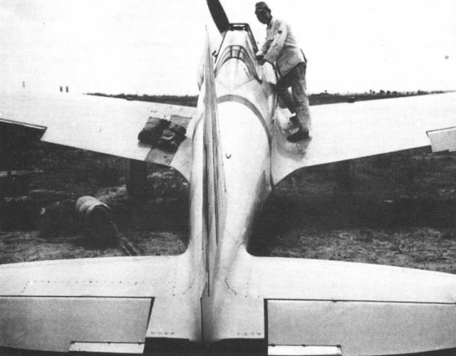 Новый рисунок.jpg